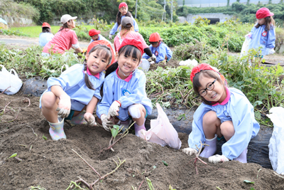 11��7���@�����ق�i�N���g�j