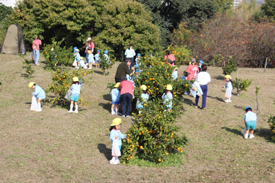 11��21���@�݂�����i�N���j�@