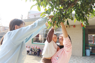 12��17���@�݂�����i�����g�j